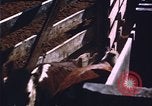 Image of grasshopper species destroy crops United States USA, 1951, second 61 stock footage video 65675081011