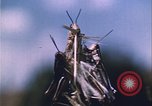 Image of Grasshoppers feeding on crops United States USA, 1951, second 50 stock footage video 65675081012