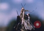 Image of Grasshoppers feeding on crops United States USA, 1951, second 53 stock footage video 65675081012