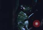 Image of Grasshoppers feeding on crops United States USA, 1951, second 61 stock footage video 65675081012