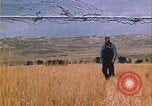 Image of grasshopper lifecycle and best conditions United States USA, 1951, second 1 stock footage video 65675081013