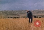 Image of grasshopper lifecycle and best conditions United States USA, 1951, second 4 stock footage video 65675081013