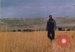 Image of grasshopper lifecycle and best conditions United States USA, 1951, second 5 stock footage video 65675081013