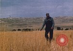 Image of grasshopper lifecycle and best conditions United States USA, 1951, second 7 stock footage video 65675081013