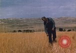 Image of grasshopper lifecycle and best conditions United States USA, 1951, second 8 stock footage video 65675081013