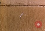 Image of grasshopper lifecycle and best conditions United States USA, 1951, second 18 stock footage video 65675081013