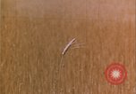 Image of grasshopper lifecycle and best conditions United States USA, 1951, second 19 stock footage video 65675081013