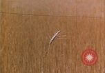 Image of grasshopper lifecycle and best conditions United States USA, 1951, second 20 stock footage video 65675081013