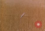 Image of grasshopper lifecycle and best conditions United States USA, 1951, second 21 stock footage video 65675081013