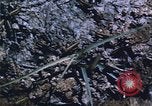 Image of grasshopper lifecycle and best conditions United States USA, 1951, second 55 stock footage video 65675081013