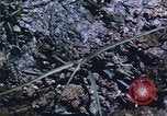 Image of grasshopper lifecycle and best conditions United States USA, 1951, second 56 stock footage video 65675081013