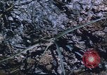 Image of grasshopper lifecycle and best conditions United States USA, 1951, second 57 stock footage video 65675081013