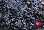 Image of grasshopper lifecycle and best conditions United States USA, 1951, second 58 stock footage video 65675081013