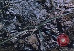 Image of grasshopper lifecycle and best conditions United States USA, 1951, second 59 stock footage video 65675081013