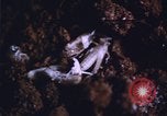 Image of grasshopper outbreaks United States USA, 1951, second 6 stock footage video 65675081014