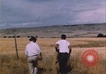 Image of grasshopper outbreak emergency response United States USA, 1951, second 3 stock footage video 65675081015