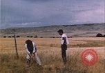 Image of grasshopper outbreak emergency response United States USA, 1951, second 8 stock footage video 65675081015