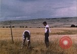 Image of grasshopper outbreak emergency response United States USA, 1951, second 9 stock footage video 65675081015
