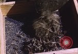 Image of grasshopper outbreak emergency response United States USA, 1951, second 10 stock footage video 65675081015
