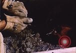Image of grasshopper outbreak emergency response United States USA, 1951, second 14 stock footage video 65675081015