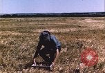 Image of grasshopper outbreak emergency response United States USA, 1951, second 18 stock footage video 65675081015