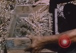 Image of grasshopper outbreak emergency response United States USA, 1951, second 20 stock footage video 65675081015