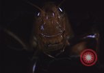 Image of grasshopper pest control United States USA, 1951, second 11 stock footage video 65675081016