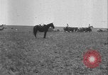 Image of master farmer award Oklahoma United States USA, 1929, second 44 stock footage video 65675081018