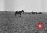 Image of master farmer award Oklahoma United States USA, 1929, second 45 stock footage video 65675081018