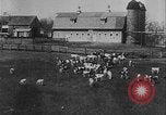 Image of Ed Hearn master farmer Oklahoma United States USA, 1929, second 41 stock footage video 65675081019
