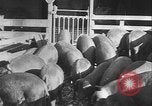 Image of Will Barnett master farmer Oklahoma United States USA, 1929, second 61 stock footage video 65675081020