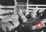 Image of Will Barnett master farmer Oklahoma United States USA, 1929, second 62 stock footage video 65675081020